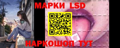 стаф Краснодар