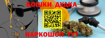 индика Краснознаменск