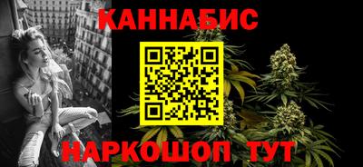 стаф Краснодар