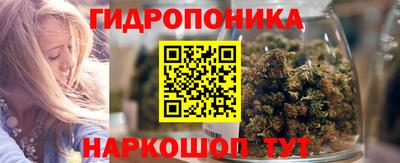 индика Краснознаменск