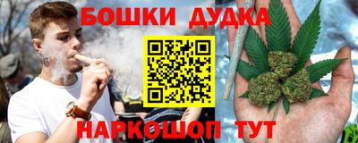 индика Краснознаменск