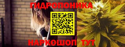 стаф Краснодар