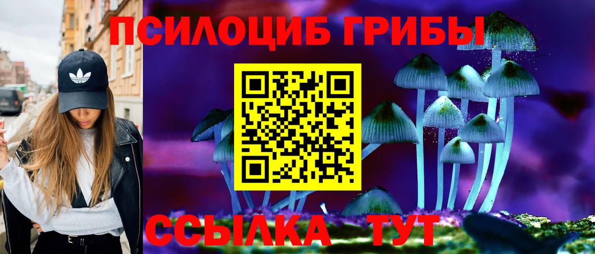 Псилоцибиновые грибы мицелий  Вход с VPN  Чехов 